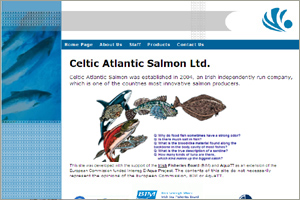 Celtic Atlantic Salmon ltd