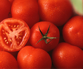 Cherry Tomates